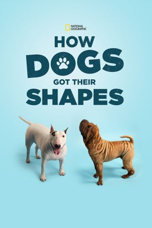 How Dogs Got Their Shapes's poster image