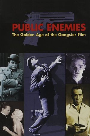 Public Enemies: The Golden Age of the Gangster Film's poster
