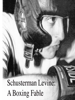 Schusterman Levine: A Boxing Fable's poster