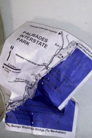 Palisades in Palisades's poster