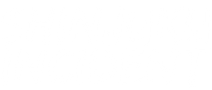 Shinjuku Incident's poster