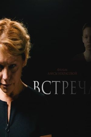 Встреча's poster