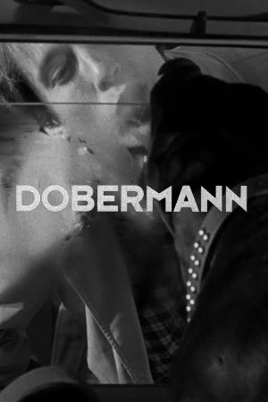 Dobermann's poster