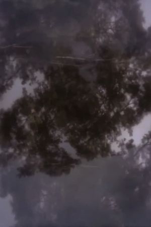 The Core of the Wood's poster