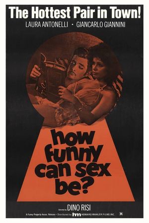 How Funny Can Sex Be?'s poster image