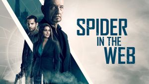 Spider in the Web's poster