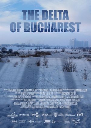 The Delta of Bucharest's poster