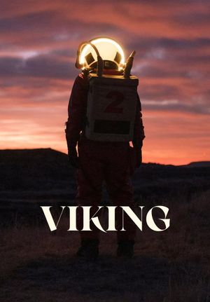 Viking's poster