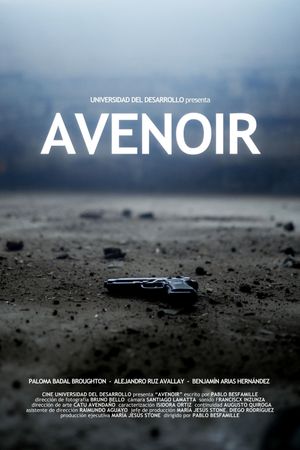 Avenoir's poster image