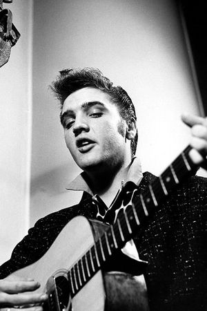 Elvis Rise And Fall Of The King's poster