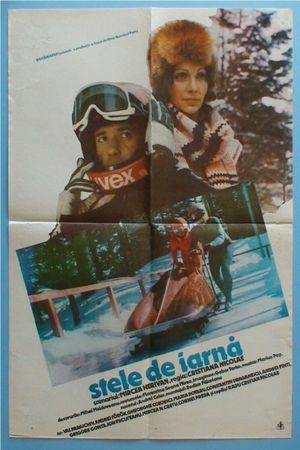 Stele de iarna's poster
