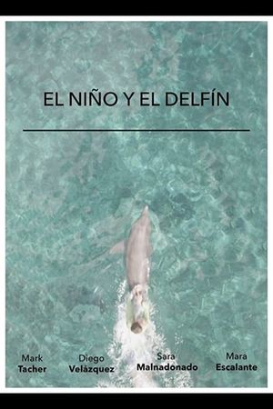 El Niño y El Delfín's poster