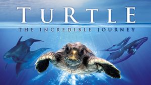 Turtle: The Incredible Journey's poster