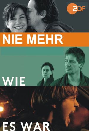 Nie mehr wie es war's poster