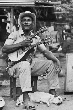 El rey del bandolín's poster