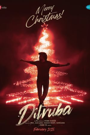 Dilruba's poster