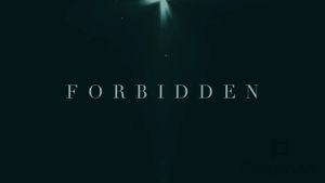 Forbidden's poster