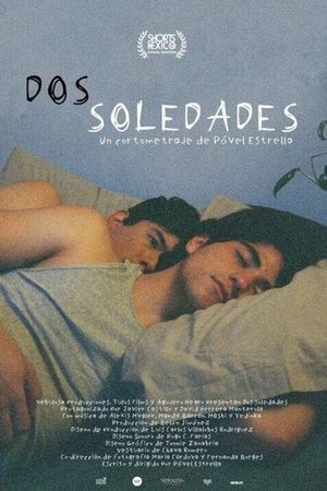 Dos soledades's poster