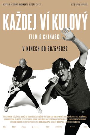 Chinaski: Kazdy Vi Kulovy's poster