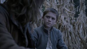 The Witch's poster