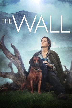 The Wall's poster