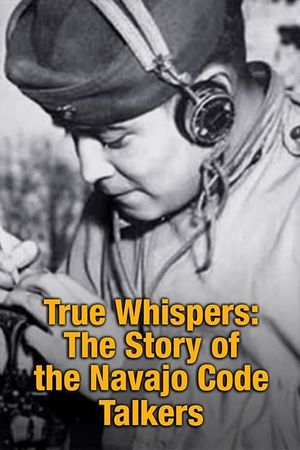 True Whispers's poster