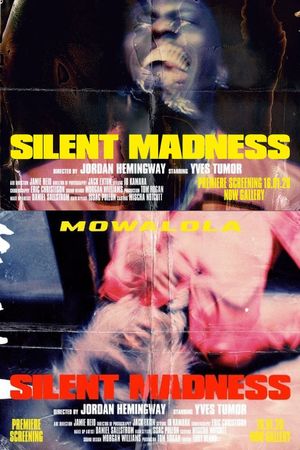 SILENT MADNESS's poster