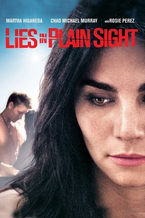 Lies in Plain Sight's poster