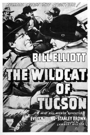 The Wildcat of Tucson's poster