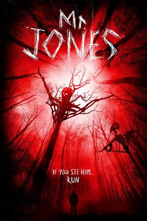 Mr. Jones's poster