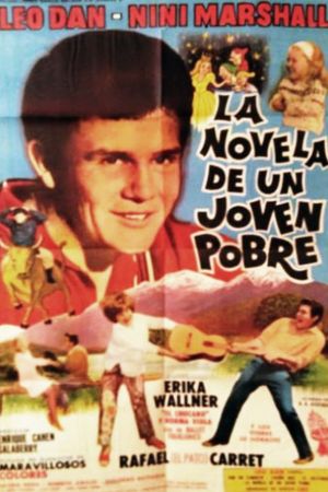 The Novel of a Poor Young Man's poster