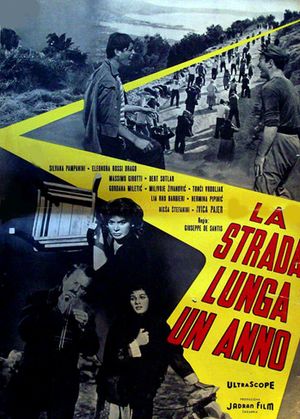 The Year Long Road's poster