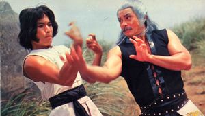 Kung Fu of 8 Drunkards's poster