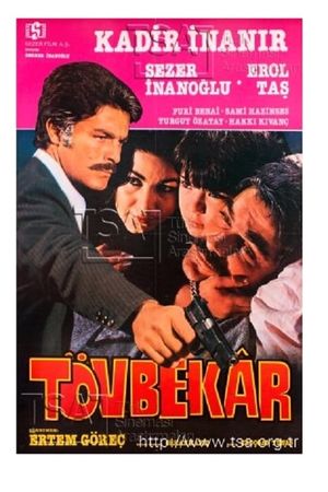 Tövbekar's poster
