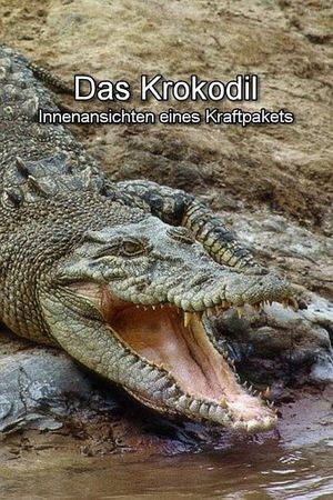 Das Krokodil - Innenansichten eines Kraftpakets's poster