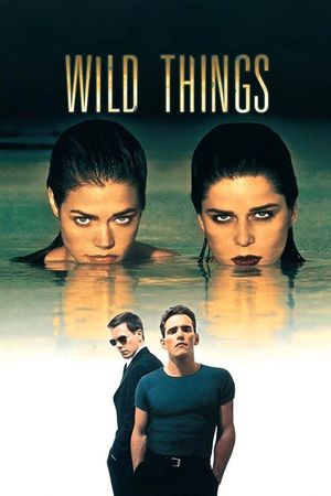 Wild Things's poster image