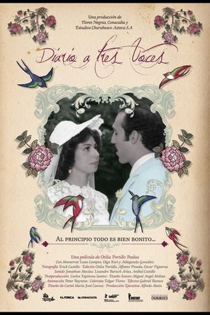 Diario a Tres Voces's poster