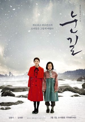 Snowy Road's poster