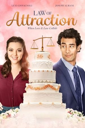 Law of Attraction's poster