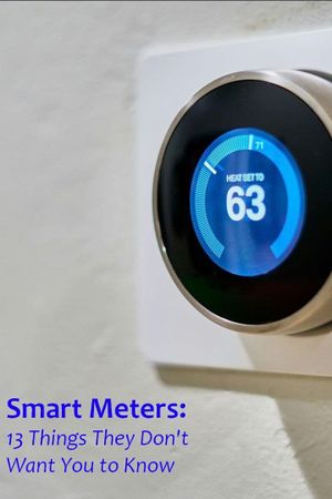 Smart Meters: 13 Things They Don't Want You to Know's poster