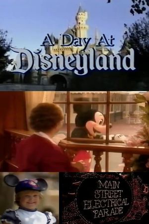 A Day at Disneyland's poster