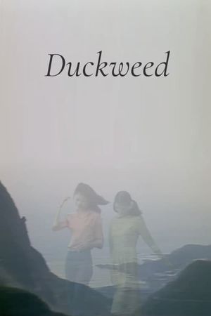 Duckweed's poster