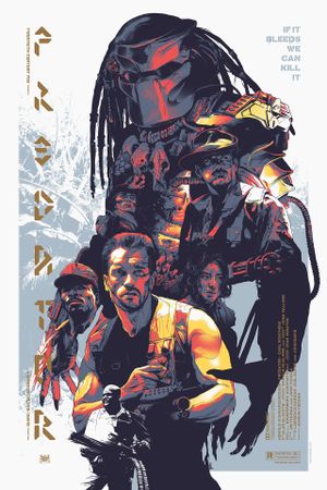 Predator's poster