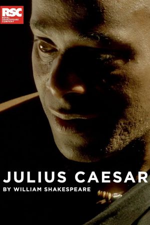 Julius Caesar's poster