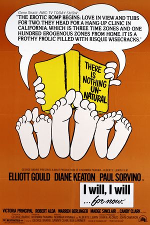 I Will... I Will... For Now's poster