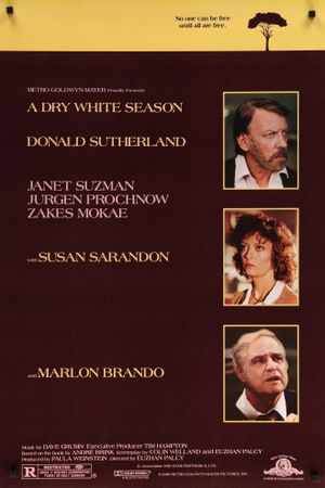 A Dry White Season's poster