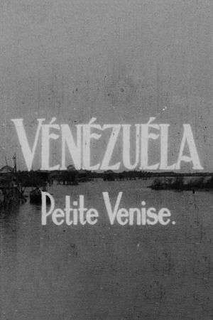 Venezuela, little Venice's poster