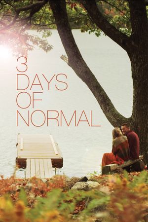 3 Days of Normal's poster