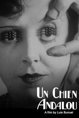 Un Chien Andalou's poster