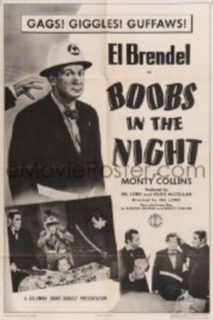Boobs in the Night's poster image